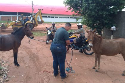 O atributo alt desta imagem está vazio. O nome do arquivo é Abandono-1.jpeg