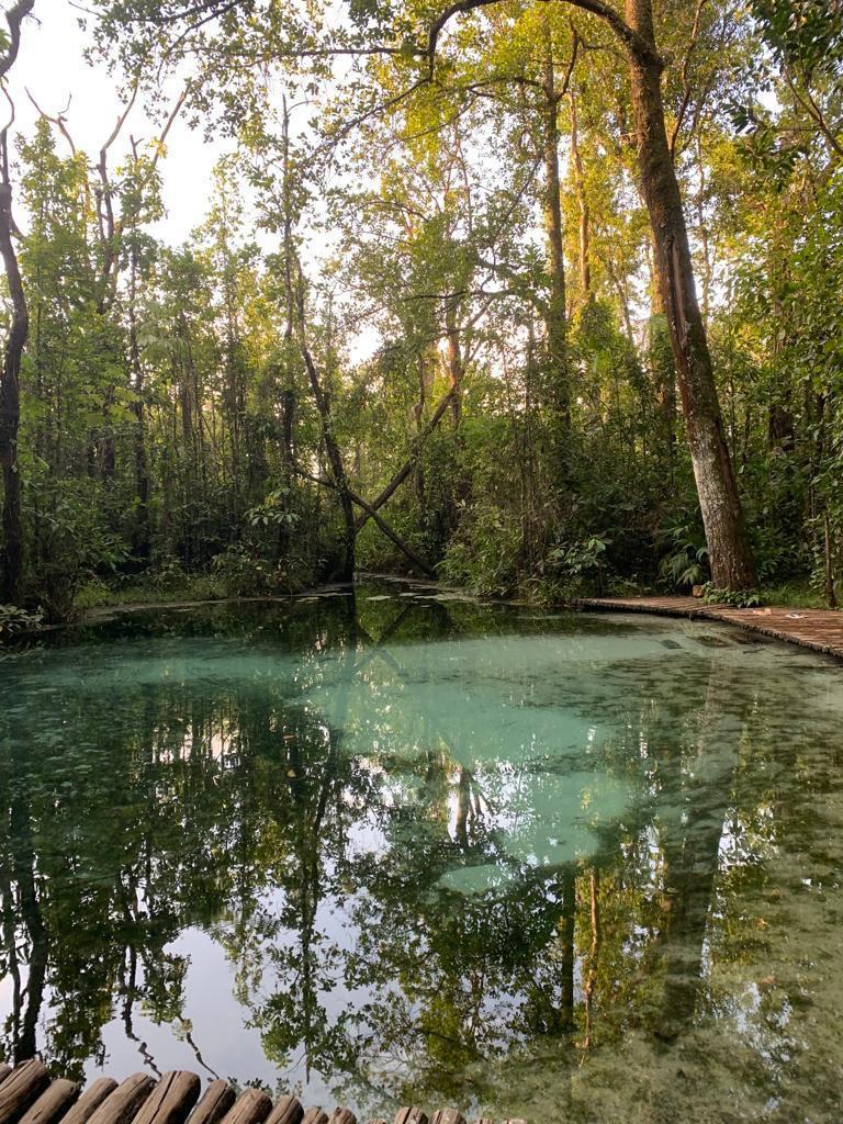 nascente da areia, criando uma espécie de areia movediça. - Picture of Areia  que Canta, Brotas - Tripadvisor