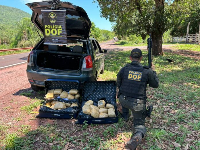 Ela receberia R$ 5 mil pelo transporte.