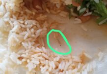 Pais denunciam problemas na merenda e higiene na escola “Luloca”