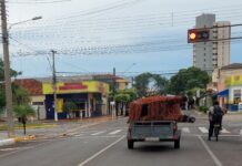 Capivara gigante é retirada da Lagoa Maior após reprovação técnica da Prefeitura