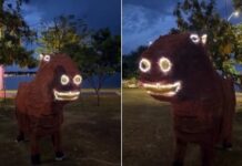 Prefeitura reprova capivara gigante da Lagoa Maior e suspende pagamento