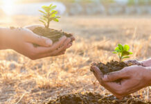 LOA 2026 é aprovada na Assembleia e segue para sanção com previsão de R$ 27 bilhões