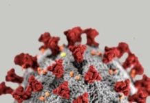 Confirmados 3 casos de Gripe K em MS