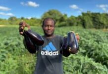 Alimentação escolar da REE/MS fortalece aprendizagem e impulsiona agricultura familiar