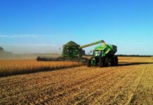 PIB dos municípios de MS cresceu em todas as regiões com destaque para áreas agroindustriais