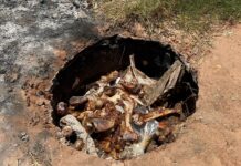 Moradores denunciam descarte irregular de lixo e ossadas em terreno na Vila Haro