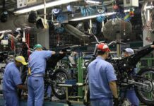 Observatório do Emprego aponta crescimento do mercado de trabalho em Três Lagoas no ano de 2025