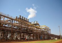 MS projeta safra recorde com 5 bilhões de litros de etanol e 2,1 milhões de toneladas de açúcar