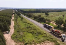 Estudo analisa prevenção ao HIV em cidades que cresceram na rota da celulose