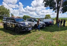 Operação em Brasilândia prende suspeito com madeira furtada escondida em matagal