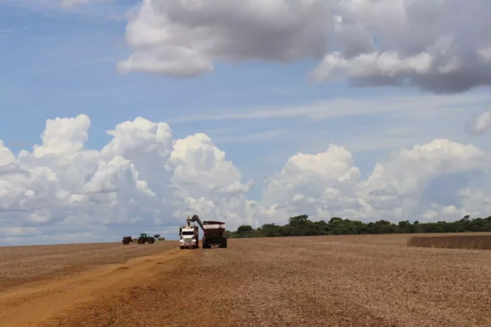 O agro teve queda significativa referente ao ano de 2025