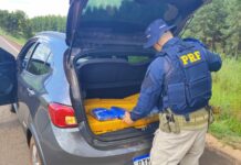 PRF apreende quase 170 kg de drogas e recupera carro furtado em Água Clara