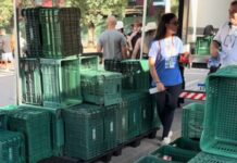 Alimentos arrecadados no ‘Cê Tá Doido’ em Três Lagoas irão para a Rede Feminina de Combate ao Câncer