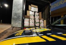PRF apreende 20 mil maços de cigarros contrabandeados na BR 262