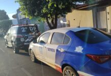 Polícia Civil prende mulher por maus-tratos a animais com morte em Três Lagoas