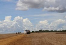 Estado mantém superávit e exportações somam US$ 2,51 bilhões no 1º trimestre de 2026