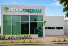 Sicoob Credivale mostra como o cooperativismo financeiro ganha espaço e fortalece o desenvolvimento regional