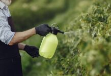 Iagro libera 15 novos agrotóxicos para venda em MS; dois são classificados como altamente tóxicos