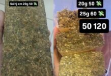 Polícia Militar prende suspeito de tráfico de drogas e captura foragido da Justiça