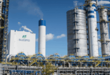Suzano abre inscrições para programas de estágio com 52 vagas em Mato Grosso do Sul