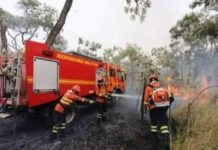 Governo de MS publica decreto de emergência ambiental para reforçar combate às queimadas
