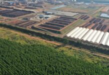 ‘Tarifaço’ poupa economia de MS e principais exportações escapam de sobretaxa