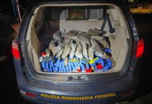 Ação da PRF termina com mais de 100 kg de drogas apreendidos em Três Lagoas