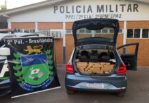 Dois homens são presos com mais de 326 quilos de drogas durante ação da PM