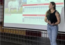 Cuidar dos animais também é cuidar da saúde humana e do meio ambiente