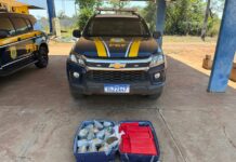PRF apreende mais de 33 kg de maconha e skunk em veículo de aplicativo na BR-262