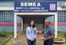 VÍDEO: Veja como funciona o processo de apreensão de animais soltos em Três Lagoas