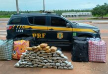 VÍDEO: Fim da viagem! PRF para ônibus em Três Lagoas e prende duas mulheres com 253 kg de drogas