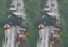 Árvore gigante cai e bloqueia rodovia entre Água Clara e Inocência