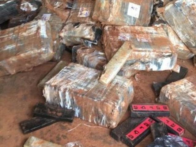 Tabletes de maconha estavam enterrados no quintal de chácara. (Foto: DOF)