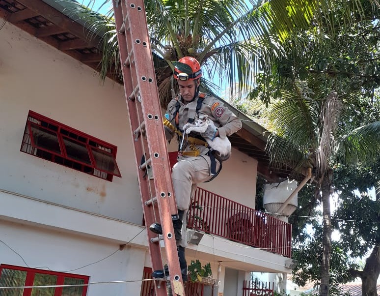 Foto: Corpo de Bombeiros.