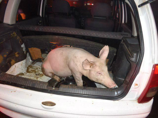 Créditos: Jornal da Nova