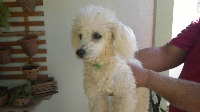 (Fotos: Rádio Caçula)