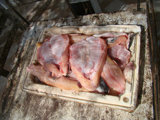 Créditos: Assessoria de Comunicação