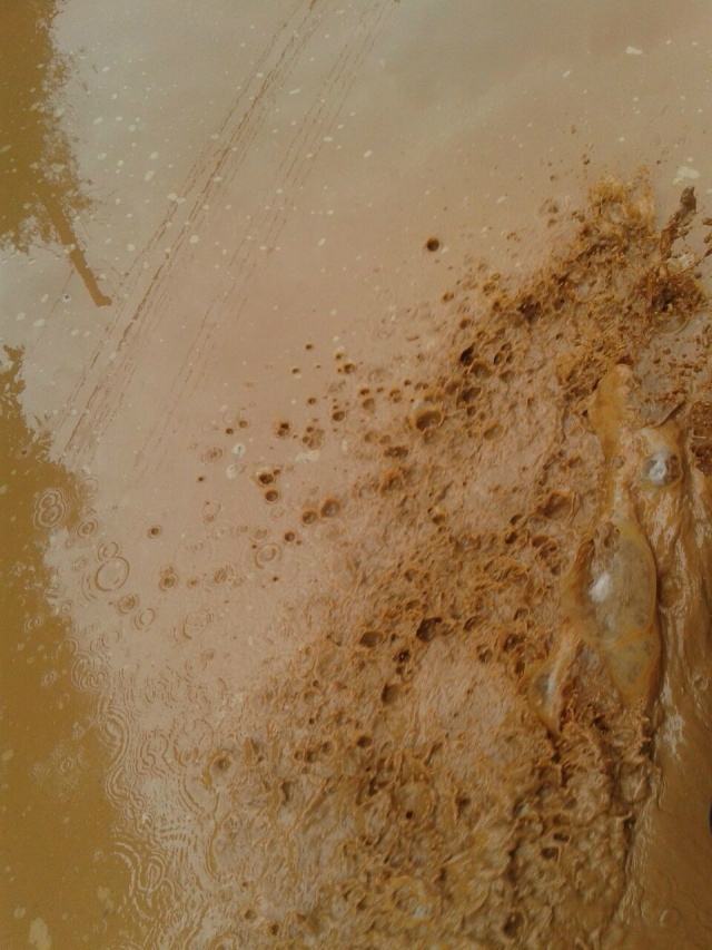 Fotos: Nilson Farias/Rádio Caçula