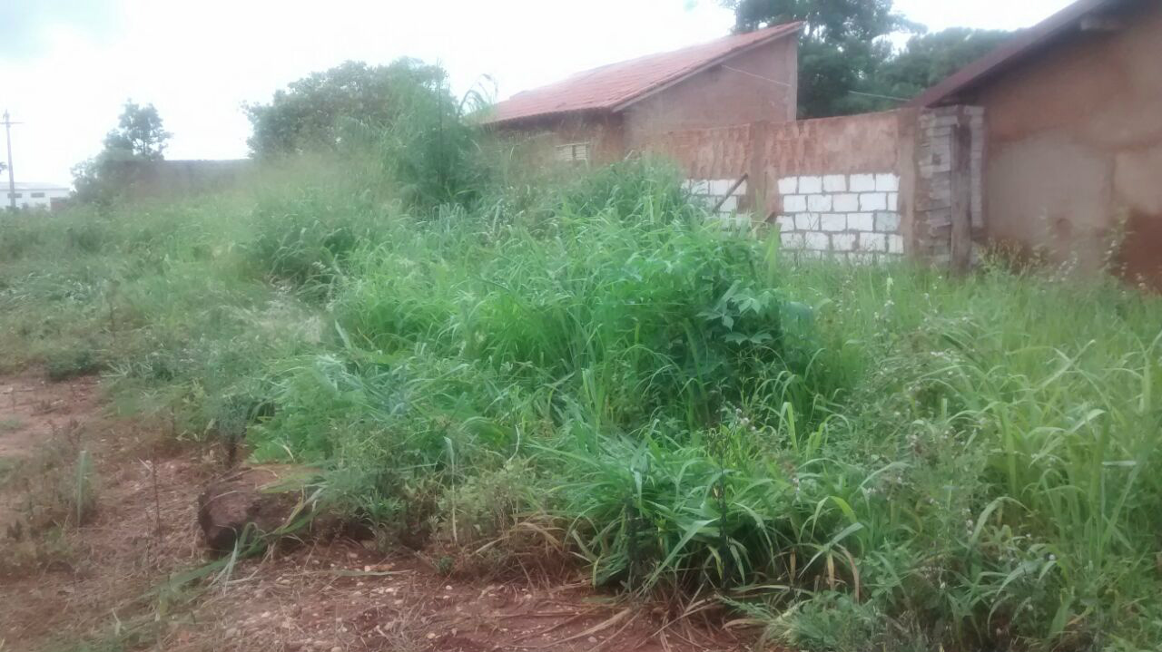 Foto enviada por Internauta 