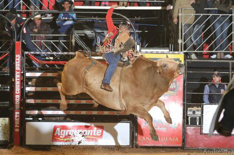 Já está tudo pronto para a grande semana de shows e rodeio dentro do Andradina Rodeo Country Bulls.Foto: Mil Notícias 