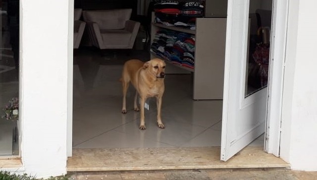 Foto: Arquivo pessoal.