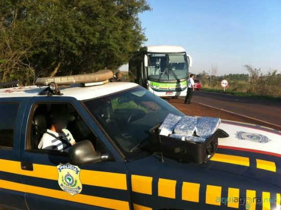 O ônibus seguia de Campo Grande (MS) para Goiânia (GO).Foto: Divulgação 
