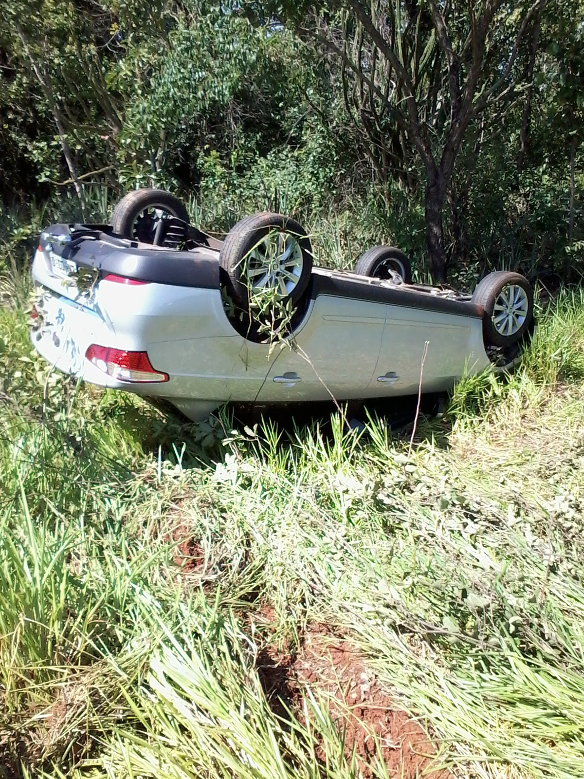 Créditos: Isaias Gomes 