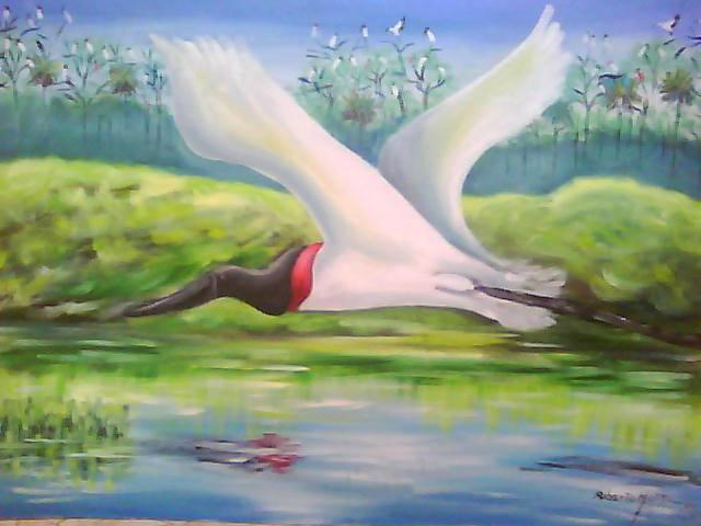 Foto Ilustrativa