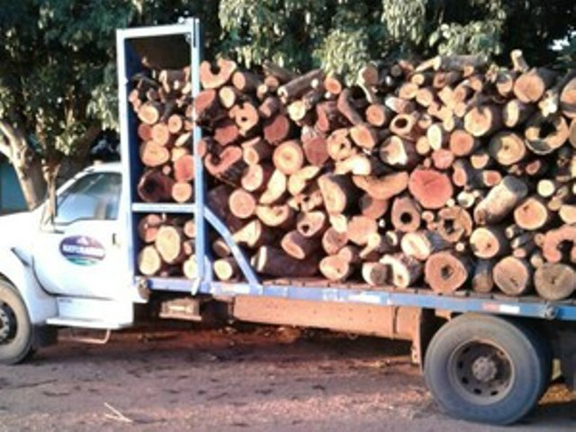 Madeira estava sendo transportada semautorização ambiental (Foto: PMA/ Divulgação)