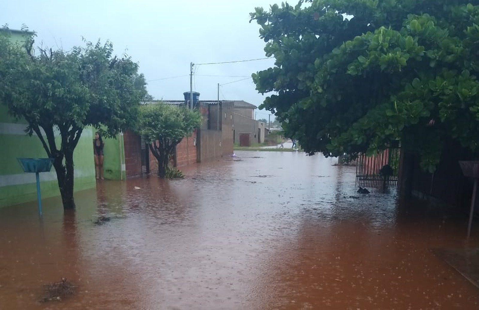 Córrego transborda e água invade casas em Paranaíba (MS). — Foto: Sebastiana Ferreira/Arquivo pessoal