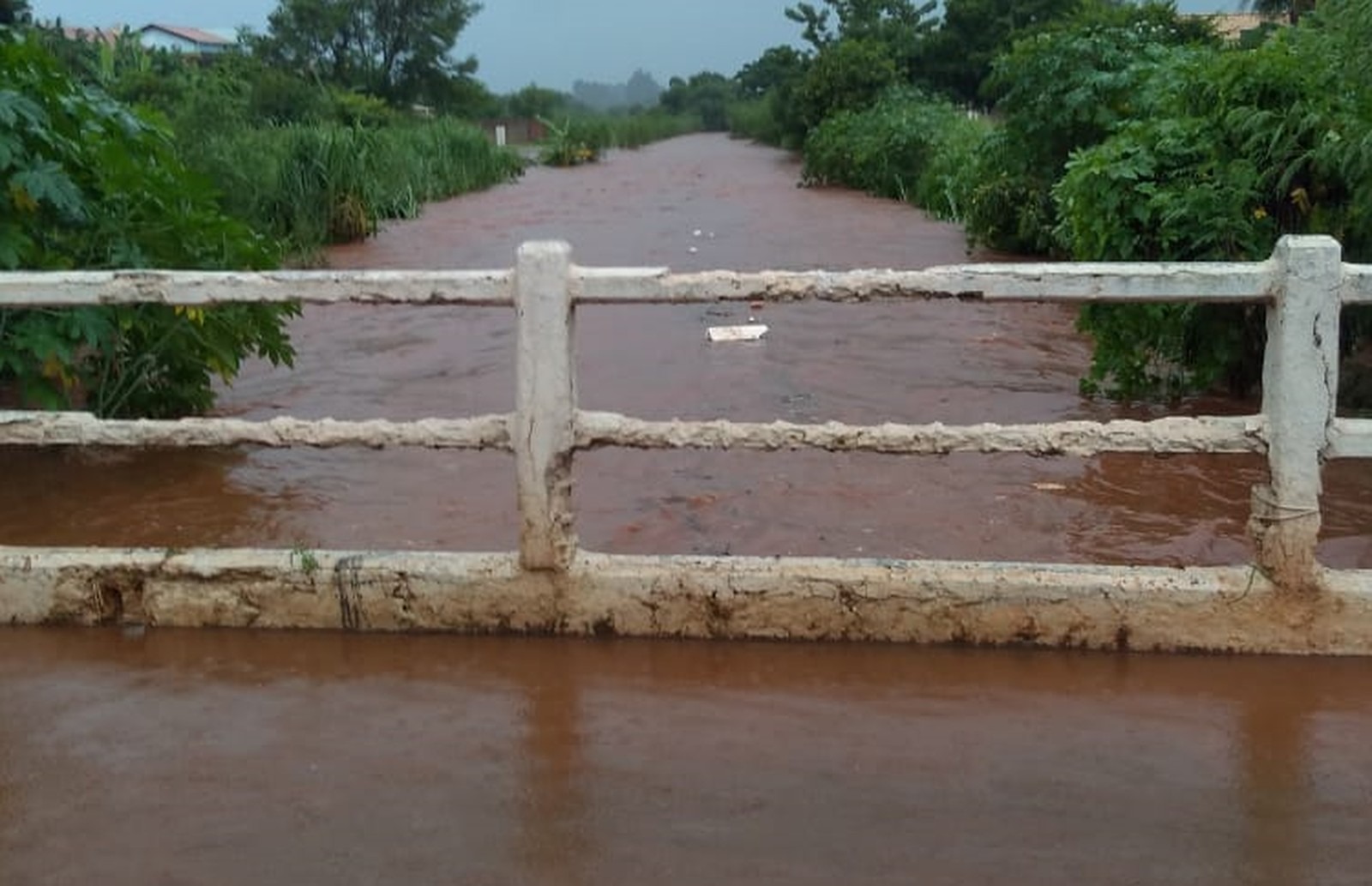 Córrego que corta a cidade de Paranaíba (MS) transborda após forte chuva. — Foto: Sebastiana Ferreira/Arquivo pessoal