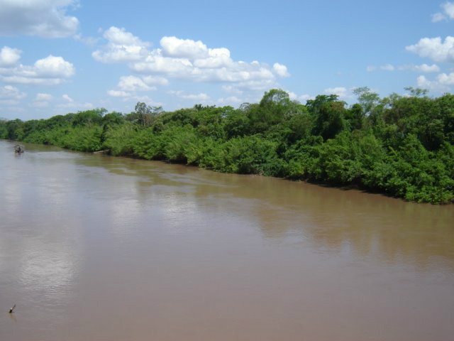 Rio Aquidauana (Foto: Ilustração)